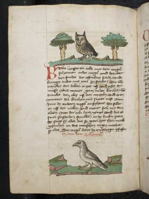 Vogel: Eule; Vogel: Caldrius; (Teil III B: Von den Vögeln)