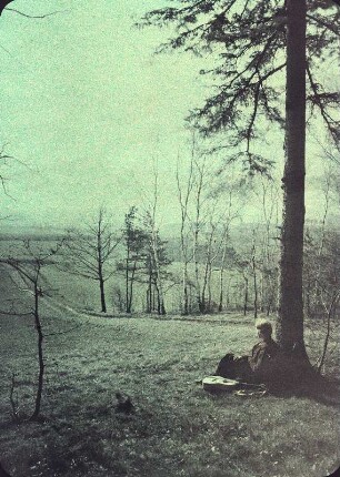 Landschaft mit Frau, an einem Baum sitzend, daneben eine Gitarre