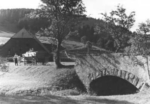 Landschaftsaufnahme Schwarzwald. Im Vordergrund eine Brücke