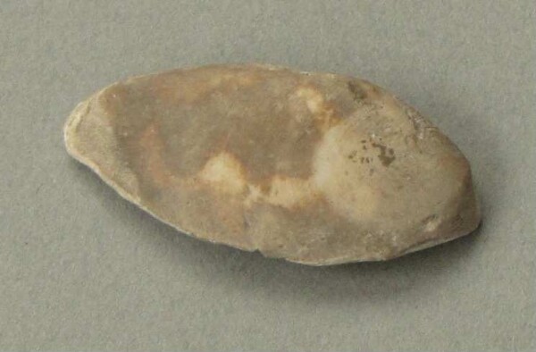 Shell ornament