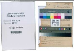 Entnazifizierung Wilhelm Pungs , geb. 13.03.1906 (Fahrer)