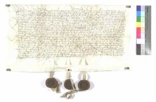 Zinsverkauf aus Dorf Steinberg (Hans Mäßlin)
