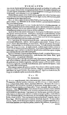 Cap. IV. De Marmoribus