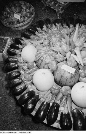 Obst und Gemüse der bulgarischen Sektion der Leipziger Herbstmesse 1954