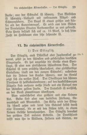 VI. Die einheimischen Körnerfresser