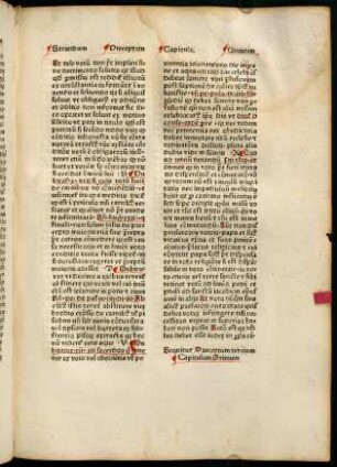 109r-116r, Capitulum Primum - Capitulum Tercium