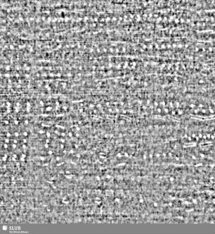 Lilienschild + IESV / LW = S.139/140