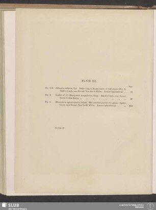 Plate III.