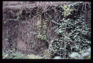 Diapositiv: Glogauer Str. 22, 1983