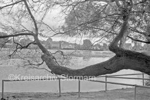Badeanstalt: am Herrenteich: im Vordergrund Baum: Geländer am Ufer: im Hintergrund Matthias-Claudius-Straße mit Claudius-Mühle, anderen Gebäuden und Bäume