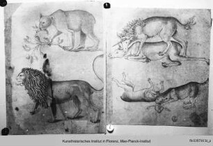 Verschiedene Tiere: Löwe, Löwin (?), Einhorn, Leopard mit gerissener Antilope