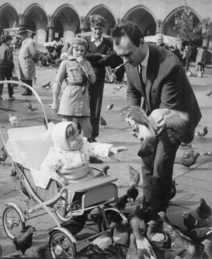 Krakow. Vater mit Kind füttert Tauben auf dem Hauptmarkt