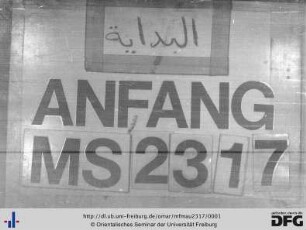 MF Mau 2317