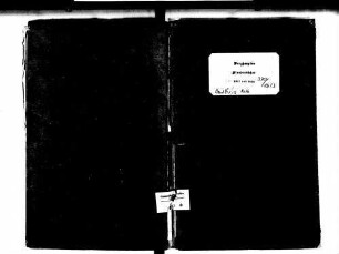 Berghaupten OG; Katholische Gemeinde: Standesbuch 1810-1812 Enthält: Einzelne Evangelische Einträge