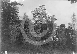 Ruine Rodenpois
