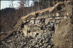 Geologie im Wutachtal