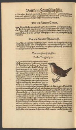 Von dem Zaunschlipfflin. Passer Troglodytes.