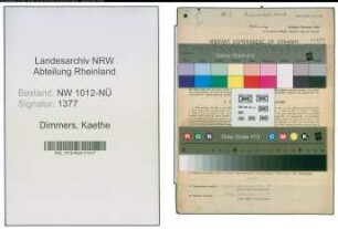Entnazifizierung Kaethe Dimmers , geb. 24.12.1912 (Landwirtin)