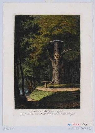 Partie im Landschaftspark Seifersdorfer Tal nördlich von Radeberg: Die "Linde der Ruhe" und der "Sessel der Freundschaft"