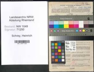 Entnazifizierung Heinrich Schrey , geb. 19.12.1891 (Landwirt)