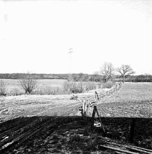 Schwienköben: Feldmark mit Blick Richtung Holzkoppel: im Hintergrund Rethwischer Wald: vorn Mitte Feldweg: hinten rechts Bäume: hinten links Mast der Überlandleitung