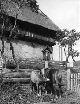 Tiere. Stute mit Fohlen an einem Kruzifix