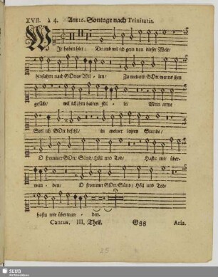 XVII. Am 16. Sontage nach Trinitatis: Wir haben hier keine bleibende Statt