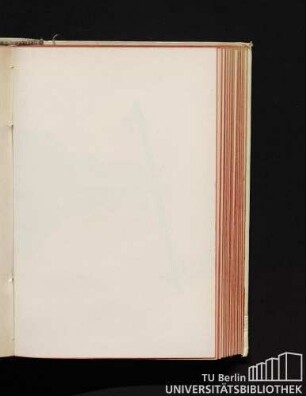 Fig. 11. - Balsamina nera. 1/2 grand. nat.