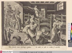 [Das Sammeln von Maulbeerblättern und die Fütterung der Seidenraupen; The gathering of mulberry leaves and the feeding of the silkworms]
