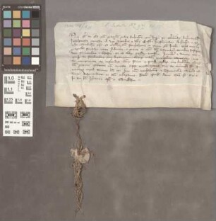 Mainz (St. Jakobsberg): Transfix zu einer Urkunde: Indulgentiae pro Monast. St. Jacobi in Monte speccioso prope muros Mogunt.