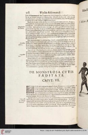Capvt VII: De Monstrosa Cvtis Fæditate