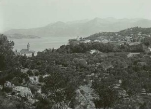 Kroatien, Insel Lopud, Olivenhain