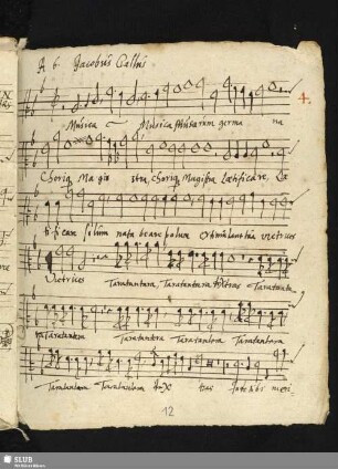 Gallus, Iacobus: Musica musarum germana