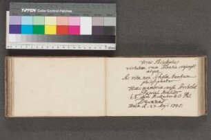 Einträge Bl. 65 - 89
