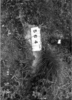 Grabstein 564 (Index: 100095080) Zustand: Fragment: Grabstein 564