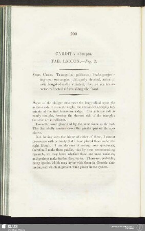 Cardita abrupta. Tab. LXXXIX. - Fig. 2