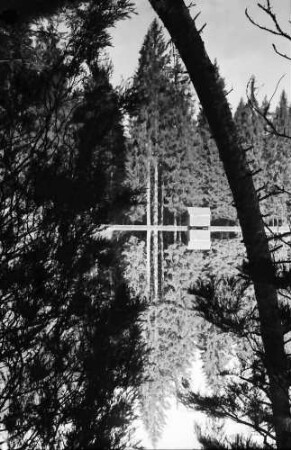 Schapbach: Glaswaldsee, Baumstämme und Spiegelung