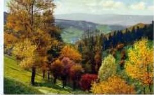Ansicht einer herbstlichen Berglandschaft