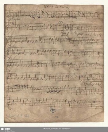 Viola I. da braccio.