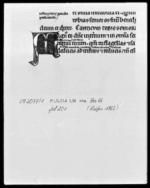 Glossa ordinaria in libros Tobias, Judith, Esther — Initiale M, Folio 20verso