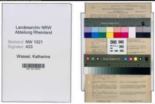 Entnazifizierung Katharina Wassel , geb. 23.06.1900 (Ordensschwester)