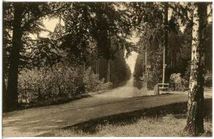 Hartha-Hintergersdorf. Harthaflügel