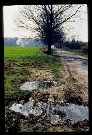 Bornstedt 20.4.77.