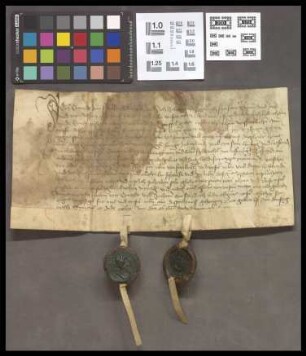 Butzbach: Tauschbrief, wodurch Conrad v. Schwalbach der Alte und Johann v. Schwalbach, sein Sohn, ihren Garten vor Butzbach in dem engen Gäßchen g...