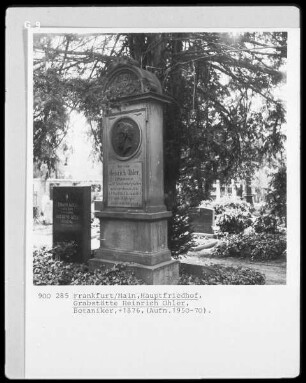 Grabstätte Heinrich Ohler (Botaniker)