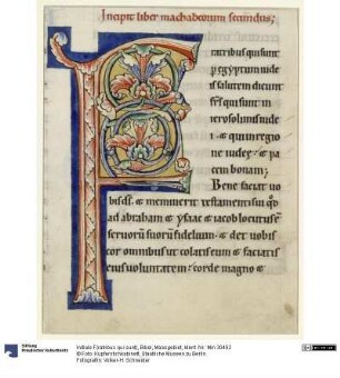 Initiale F(ratribus qui sunt), Bibel, Maasgebiet