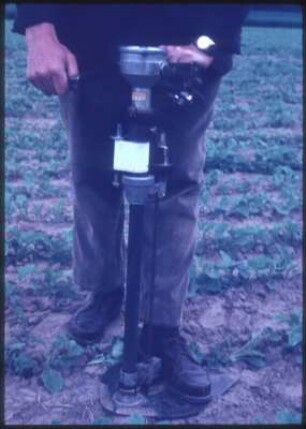 IML Einstichsonde