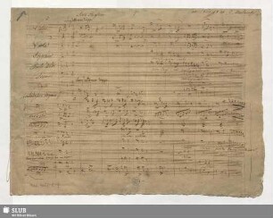 Ave regina - Mus.4657-E-9 : Coro, strings; F