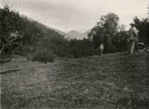 Der Cerro Altar vom Relechewald aus
