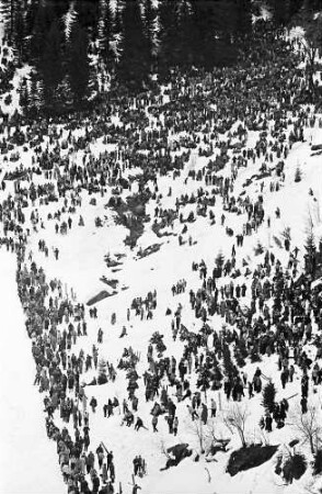 Feldberg: Internationales Feldberg-Skispringen; Publikum vom Turm